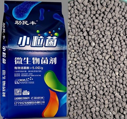  产品展示标题九